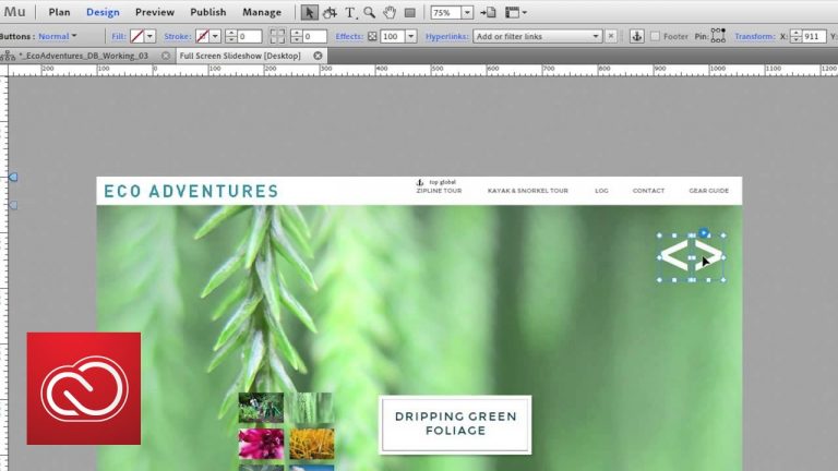 New Full Screen Slideshow  | Adobe Creative Cloud
