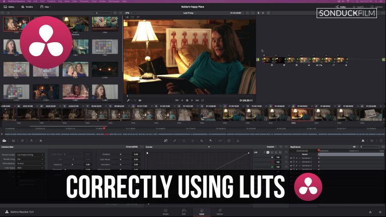 DaVinci Resolve Tutorial: How to correctly use LUTS