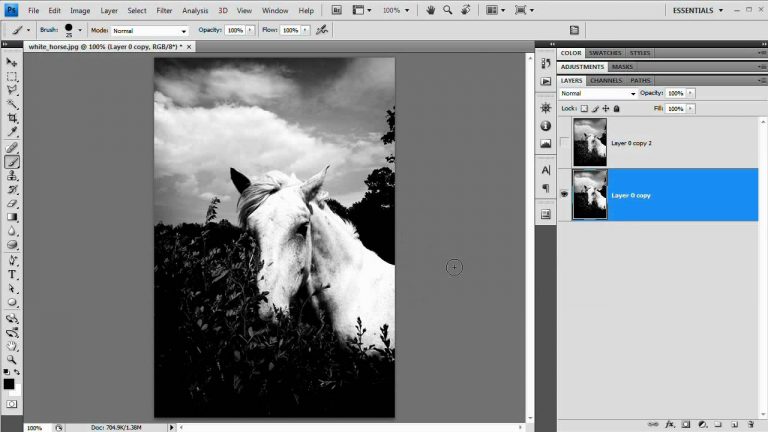 [HD] Super Quick Black and White Photos: Photoshop Tutorial!