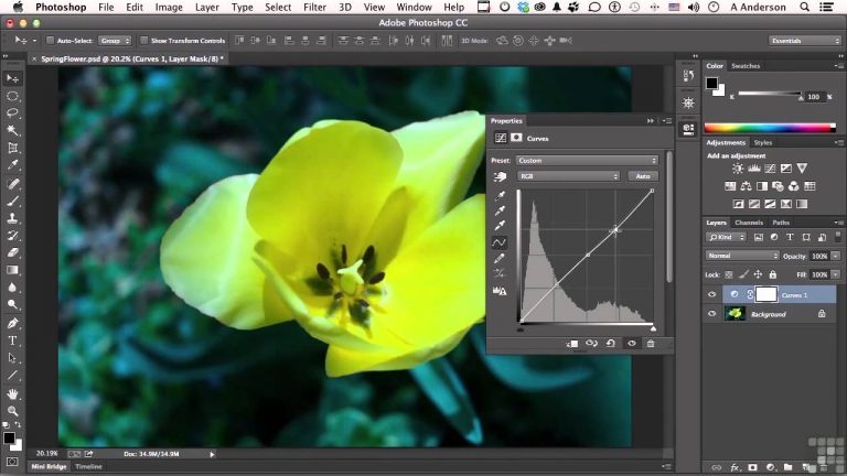 Adobe Photoshop CC Tutorial | Curves 101
