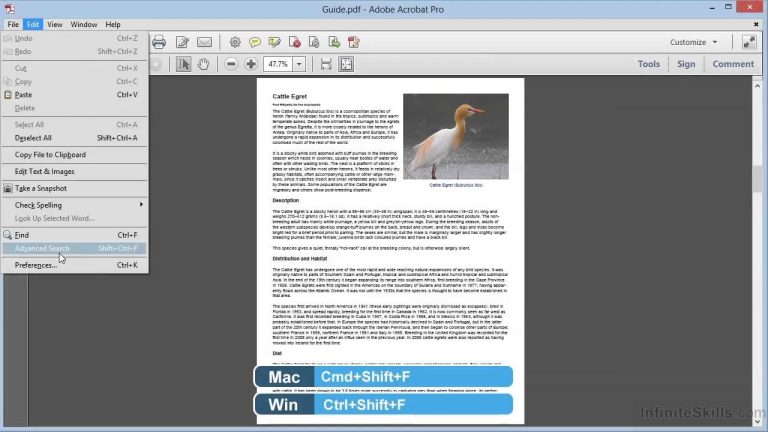 Adobe Acrobat XI Tutorial | Finding And Searching In PDFs