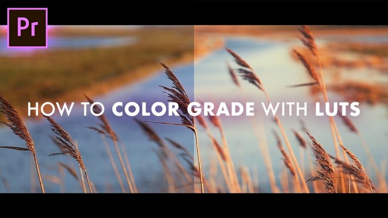 How to INSTANTLY Color Grade your footage using LUTs! (Pre Load, Correction, & Grading tutorial!)