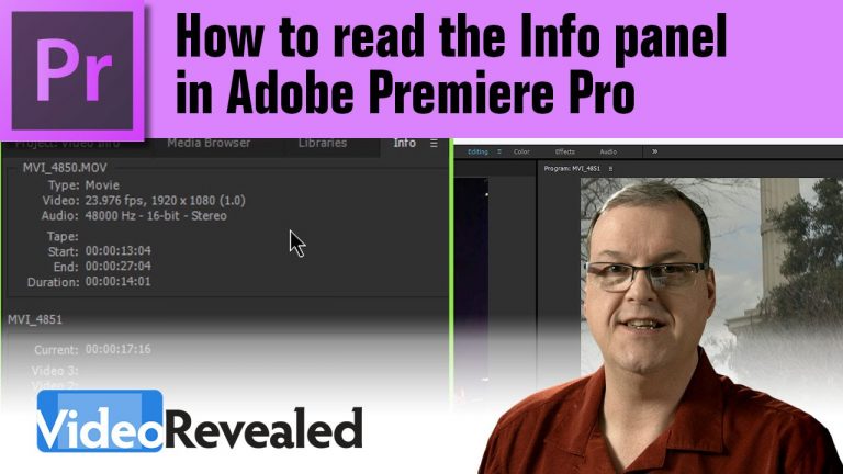 How to read the Info panel in Adobe Premiere Pro
