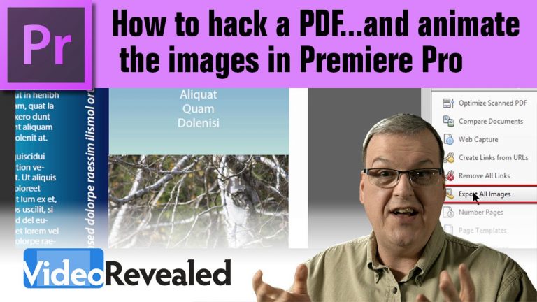 How to hack a PDF…and animate the images in Premiere Pro