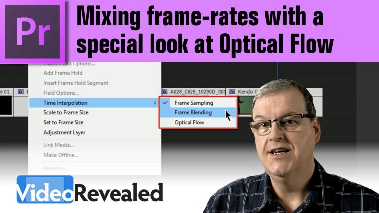 Mixing frame-rates with a special look at Optical Flow