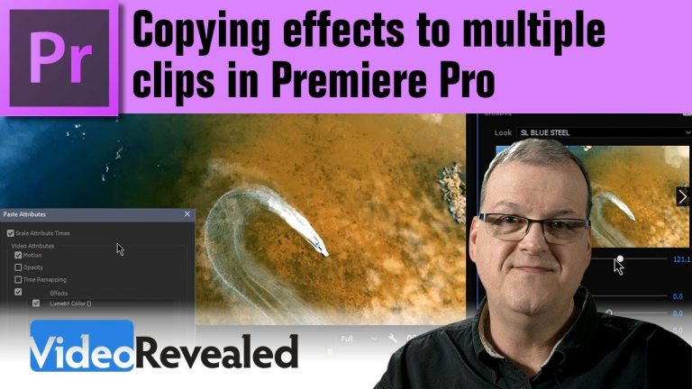 Copying effects (Paste Attributes) to multiple frames in Premiere Pro
