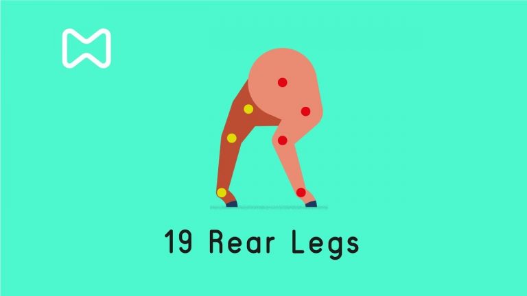 19 –  Four Legged Rig Part One | Rear Legs
