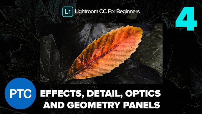 The Effects, Detail, Optics, and Geometry Panels  – Lightroom CC for Beginners FREE Course – 04