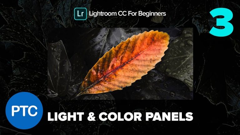 Develop Photos With The Light and Color Panels  – Lightroom CC for Beginners FREE Course – 03
