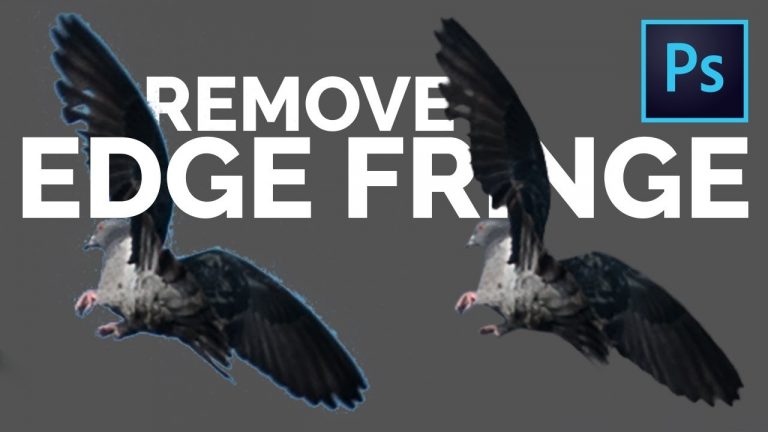 2 Easy Tricks to Remove White Edges or Fringes from Cut-Outs in Photoshop