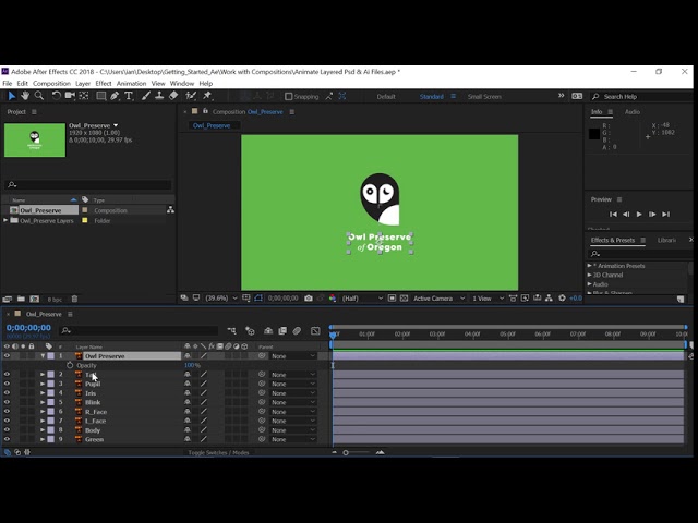Import assets for use in a project | Adobe After Effects CC tutorials for beginners