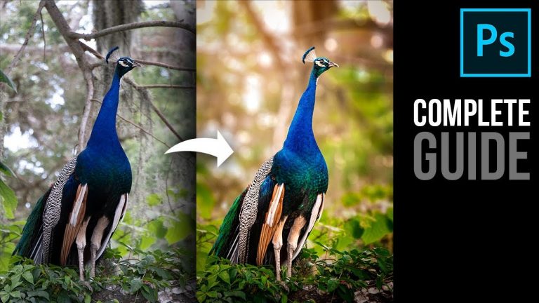 Complete Photoshop Guide: Blurring the Background and Adding Bokeh