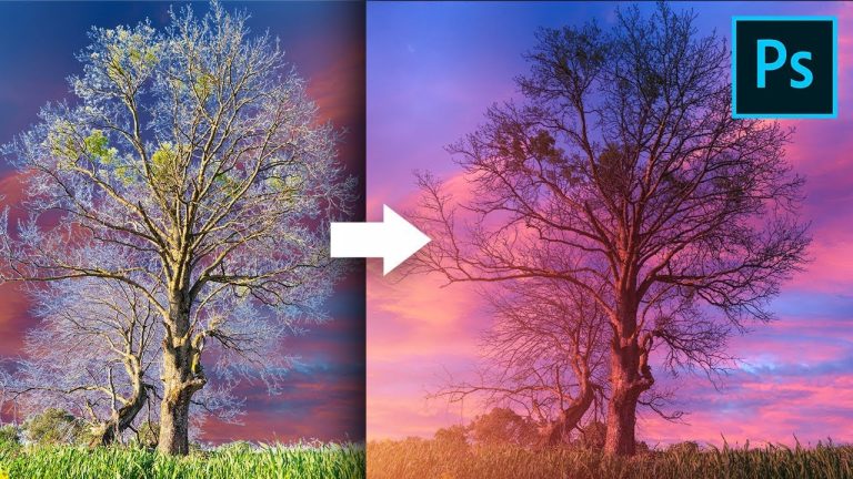Remove Fringes Around Trees During Sky Swap! – Photoshop Tutorial