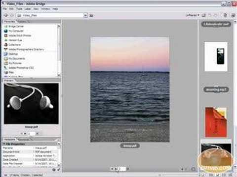 Adobe Bridge Tutorial – Changing Layout Settings and Views!