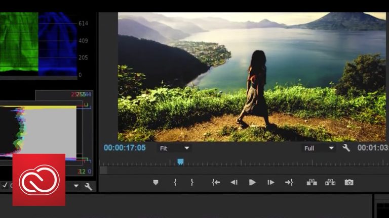 The new Lumetri Color panel – Adobe Premiere Pro (2015) | Adobe Creative Cloud