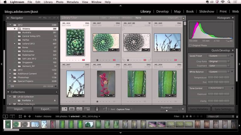 Lightroom 5: Creating Custom Collections of Images