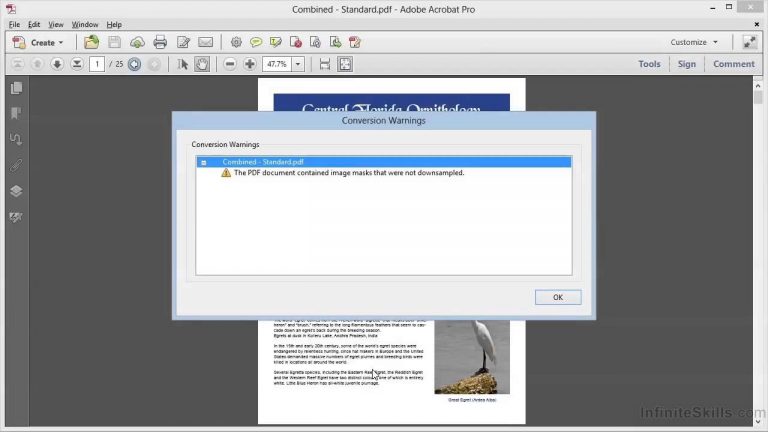 Adobe Acrobat XI Tutorial | PDF Optimization