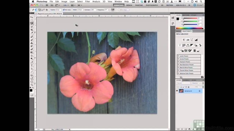 Photoshop for Photographers Tutorial | Detecting Edges With The Magnetic Lasso