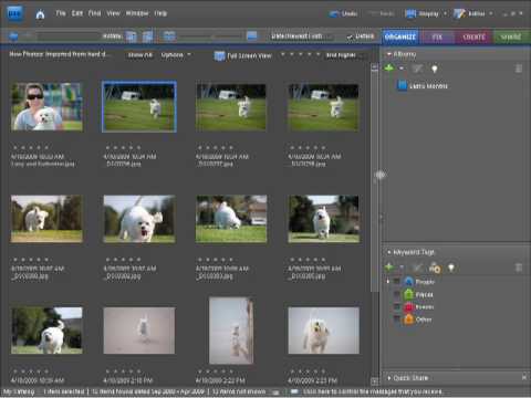 Photoshop Elements 7 Tutorial Video – Fast Image Renaming