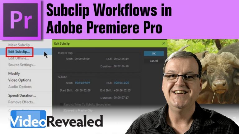 Subclip Workflows in Adobe Premiere Pro
