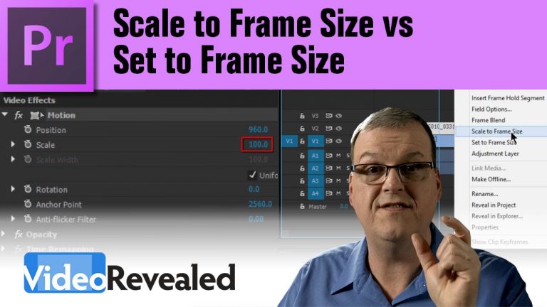 Set to Frame Size vs Scale to Frame Size