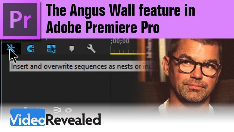 The Angus Wall feature in Adobe Premiere Pro