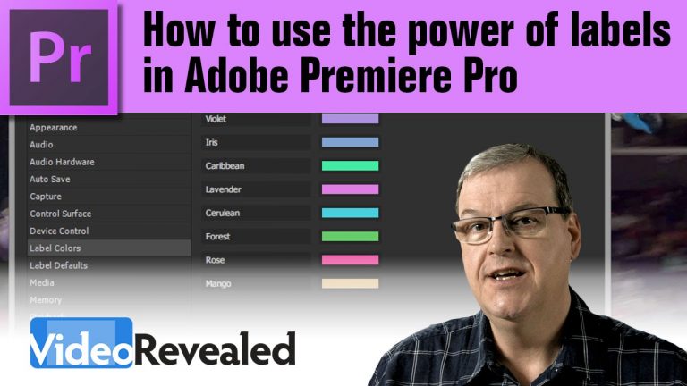 How to use the power of labels in Adobe Premiere Pro