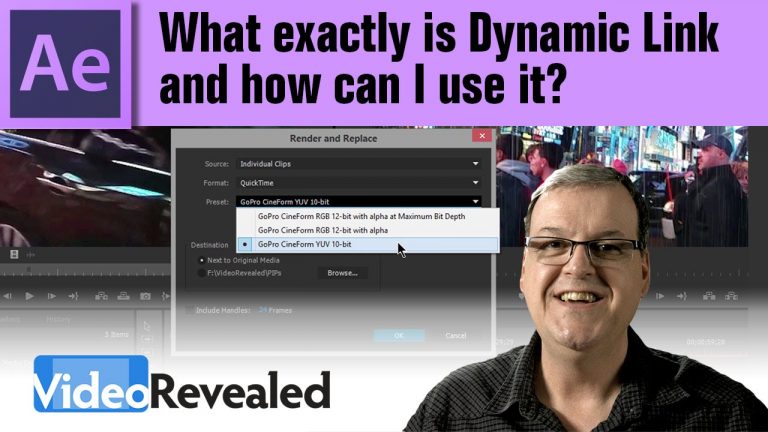 What exactly is Dynamic Link and how can I use it?