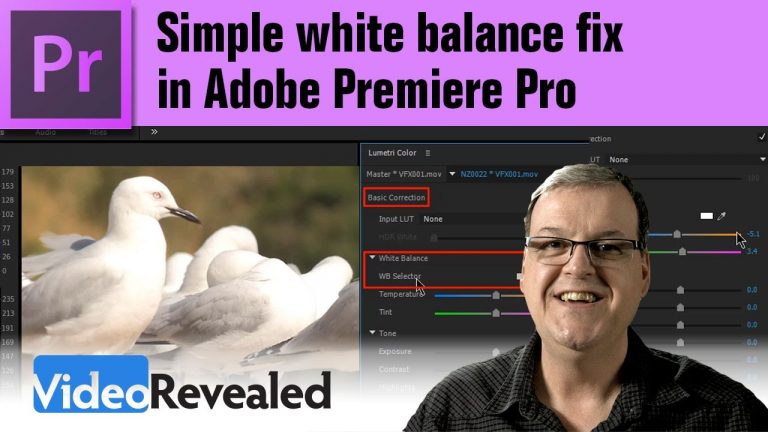 Simple white balance fix in Adobe Premiere Pro