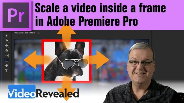 Scale a video inside a frame in Adobe Premiere Pro