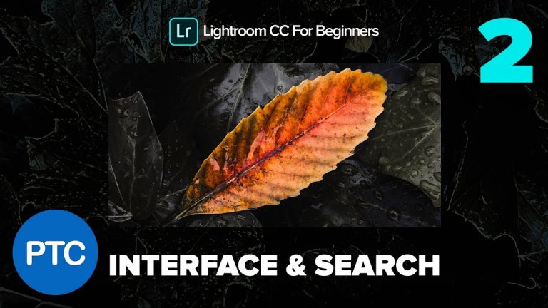 The Lightroom CC Interface and Smart Search – Lightroom CC for Beginners FREE Course – 02