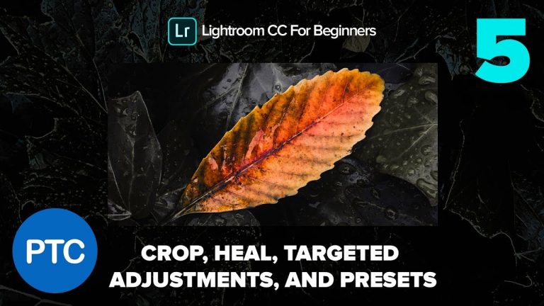 Crop, Heal, Targeted Adjustments and Presets  – Lightroom CC for Beginners FREE Course – 05