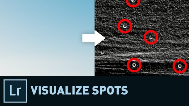 How to Spot the Spots in Lightroom | Quick Tip